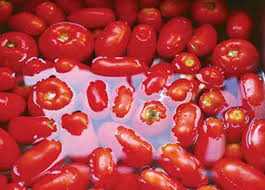 Maybe you would like to learn more about one of these? How To Dry And Freeze Tomatoes Real Food Mother Earth News