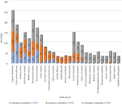 Image result for Pycreus macranthus
