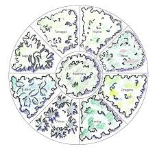 Grow your own tasty, frilly dill. How To Make An Herb Wheel Triangle Gardener Magazine