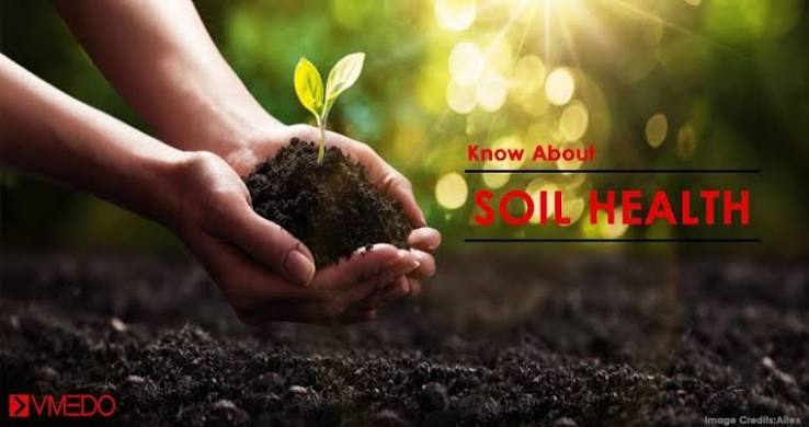Soil Health Card Day-2020 - VMEDO Blog