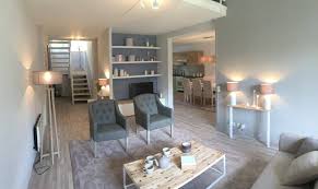 Sophie Ferjani Home Stagging Salon Contemporain Deco Appartement Deco Maison Ferjani