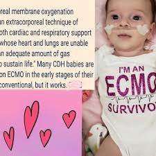 Fundraiser for Brigette Dondero by Marla Lamia : Avery's battle with CDH