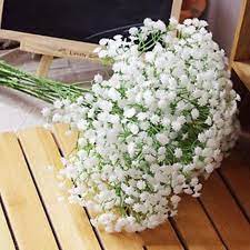 Fantastic Artificial Baby Breath Gypsum Flower Party Wedding Family D Intl Buy Online At Best Prices In Pakistan Daraz Pk