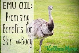 Up first, are some of our favorite emu oil hair products. Emu Oil Health Benefits Uses For Skin And Body Wellness Mama