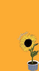 Find the best sunflower wallpapers on getwallpapers. Aesthetic Yellow Sunflower Background 144360 Hd Wallpaper Backgrounds Download