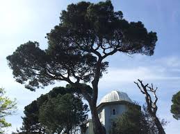 Haluk özener, beraberindeki uzmanlarla birlikte basın toplantısı düzenledi. Kandilli Observatory Wikipedia