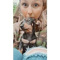 To Dance with the White Dog by Terry Kay