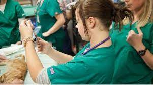 It is difficult to estimate how long basic research will take to yield answers. How To Become A Vet What Qualifications Do You Need To Be A Vet