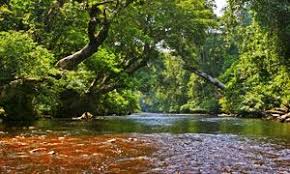 Taman Negara Taman Negara Travel Locations National Parks