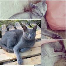 Duman Efe