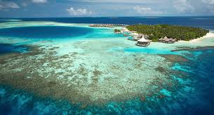 Paradise island resort & spa ✅ is a five star resort situated on lankanfinolhu island in the malé atoll (kaafu atoll) ✅ administrative division in the republic of maldives. Top 5 Private Islands In The Maldives Experience Travel Group Blog