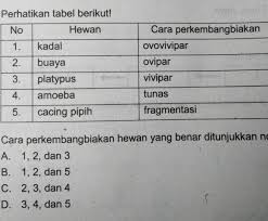 Maybe you would like to learn more about one of these? 7 Perhatikan Tabel Berikut Nohewan1 Kadalognunowellcara Brainly Co Id