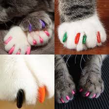 However, behavioral issues are prevented among cats. Declawing Cats How To When Pros And Cons Alternatives Cost Dogs Cats Pets