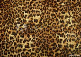 Leopard Skin Texture Buy This Stock Illustration And Explore Similar Illustrations At Adobe Stock Adobe Stock In 2020 Skin Textures Stock Illustration Texture