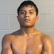 Osvaldo Gonzalez vs. Arturo Castillejos, Fight For It 25