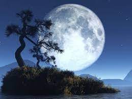 Check spelling or type a new query. Dalil Puasa Ayyamul Bidh Baca Ini Agar Puasa Anda Sesuai Sunnah