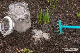 Holzasche Nicht Wegwerfen Sondern Als Vielseitiges Hausmittel Verwenden Asche Als Dunger Garten Pflanzen