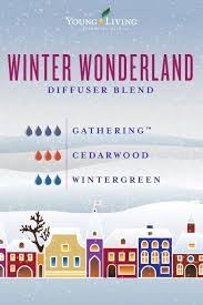 We did not find results for: Everyday Wholesome Best Christmas Essential Oil Blends Recipes For Holidays
