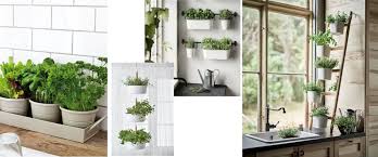 Asimismo, podremos utilizar estas hierbas en la cocina, ya que aportan un gran aroma y sabor a nuestros platos o usarlas como. Cuatro Formas De Crear Un Jardin De Aromaticas En La Cocina