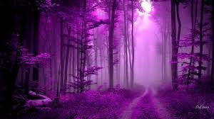 Check spelling or type a new query. Path In Purple Forest Forests Nature Background Wallpapers On Desktop Nexus Image 2385994