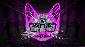 Hd Wallpaper Glasses Cat Psychedelic Mustache Wallpaper Flare