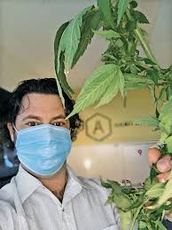 With the majors knocking, independent analytical labs face the temptation  to sell