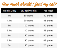How Much Raw Food To Feed A Cat Check Our Raw Feeding Guides Cat Feeding Cat Feeding Guide Raw Feeding For Dogs