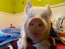 Sweet dreams, my friends. #estherforever #smile #sotired