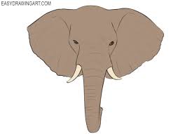 How to draw an elephant head. How To Draw An Elephant Head Easy Drawing Art