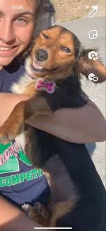 Help finding family bible in Mcveytown area