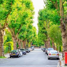 Die parkgebühren werden monatlich vom konto abgebucht. Einfahrt Freihalten Wo Ist Das Parken Verboten Generali De