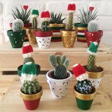 Diy Succulent Christmas Decorations Succulents Network Christmas Plants Gifts Christmas Plants Flower Pot Design