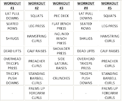 weekly bodybuilding workout routine workout routines