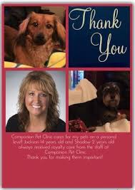 We did not find results for: Client Testimonial Jackson And Shadow Get The Very Best Care At Companion Pet Clinic