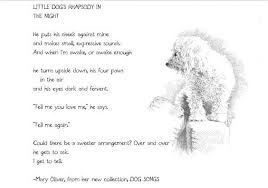 Mary jane oliver, the writer who encompassed the natural world in her writing with simple but oh so mesmerising words. Rhapsody Of Furbaby Love Dog Poems Mary Oliver Mary Oliver Poems