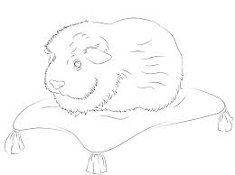Llll➤ hundreds of printable guinea pig coloring pages and books. Guinea Pig Coloring Pages Best Coloring Pages For Kids