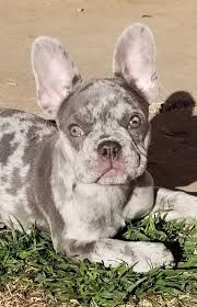 We do not ever ship as cargo, zero exceptions. 4uqlew2codlelm