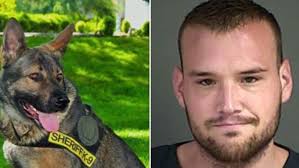 Douglas County K9 helps capture man wanted
