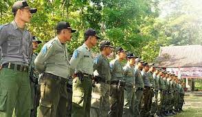 Tapi bukan sembarang smk bisa mendaftar polhut. Dishut Jambi Kekurangan Personel Polhut