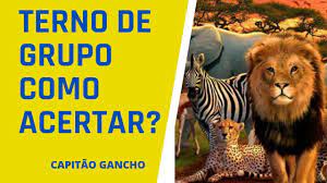 Puxada Do Porco Jogo Do Bicho Dicas Do Capitao Youtube