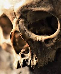 7bb060764a818184ebb1cc0d43d382aa In 2020 Skull Anatomy Skull Reference Skull Artwork