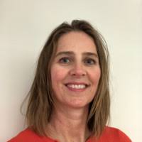 300+ «Torvik» profiler