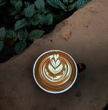 Plus you'll unlock the opportunity to order ahead, receive exclusive offers and get celebratory treats throughout the year. Barista 504 Barito Fashion Pages Directory