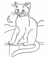 Splat the cat coloring pages. Free Printable Cat Coloring Pages For Kids