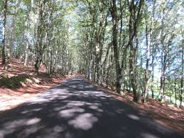 04 71 49 50 08. Cyclocamping Auvergne 4 6 La Route Vers Le Cantal Le Blog De Brigitte
