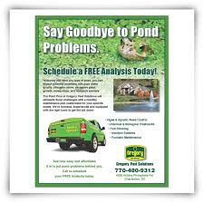 All services are performed by the owner, his son, and a dedicated staff who have 23 years experience in the pest control industry. Pest Control Flyer Design Graphic Design Services Flyer Design Pest Solutions
