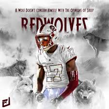 The washington redskins are considering a name change that could take place before the start of the 2020 nfl season. Warriors Redtails Or Redwolves Favorites Emerge As Redskins Transform At Rapid Pace Professional Sports Richmond Com