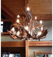 Loon Peak Doliya Antler Fallow Mule Deer 15 Light Chandelier Loon Peak Deer Antler Chandelier Antler Chandelier Antler Lights