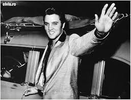 Elvis Presley: A Southern Life by Joel Williamson