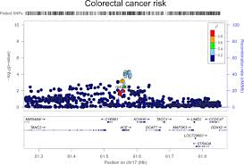 Cancer council victoria is working to address these health inequities, by increasing cancer screening participation among multicultural communities. Genetically Proxied Therapeutic Inhibition Of Antihypertensive Drug Targets And Risk Of Common Cancers Medrxiv